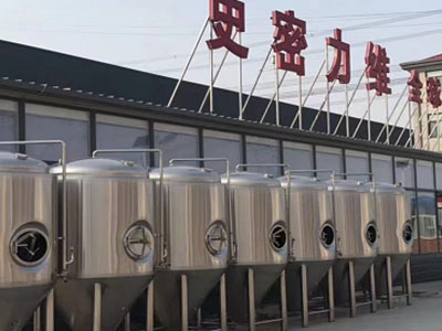 新田精酿啤酒设备厂—市场规模与跨界新需求